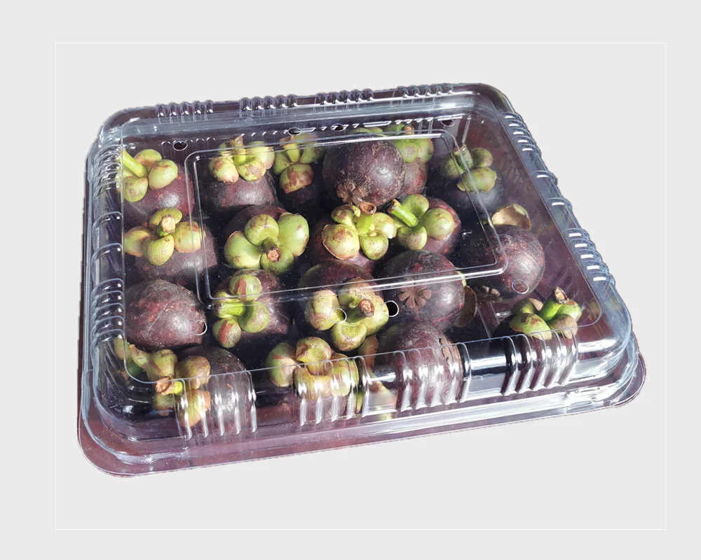 Economic Blister Forming Machine for Plastic film  / food container vaccum forming machine