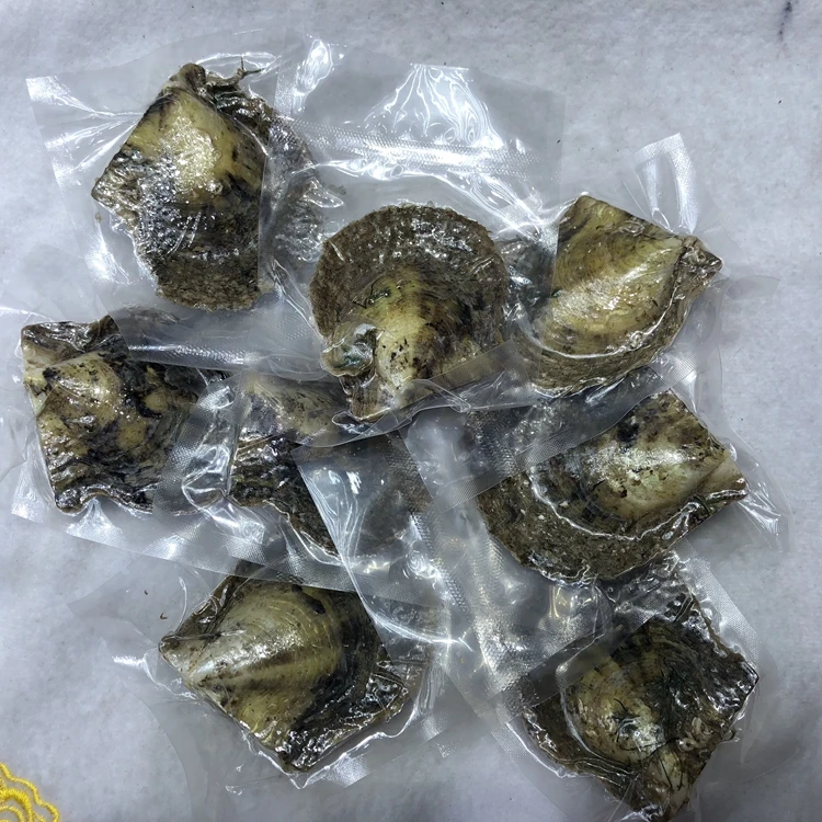 AAAA grade 6-7mm vacuum packed oysters twins seawater shell akoya pearls in oyster many colours stock