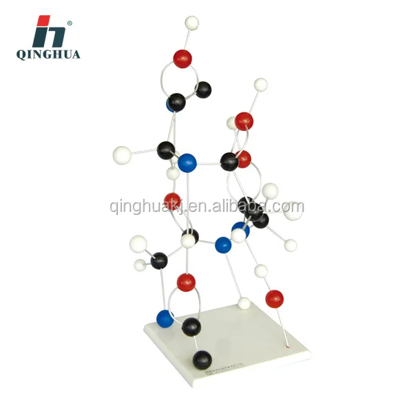 Ball type protein model molecular structure set