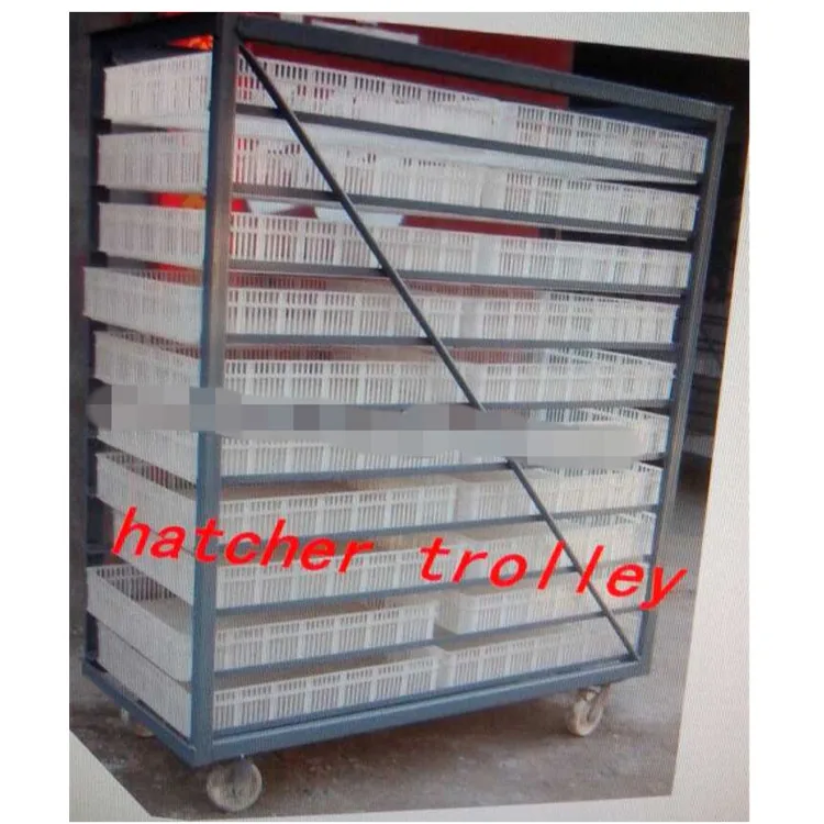 SSD 8448 full automatic large chicken egg incubator