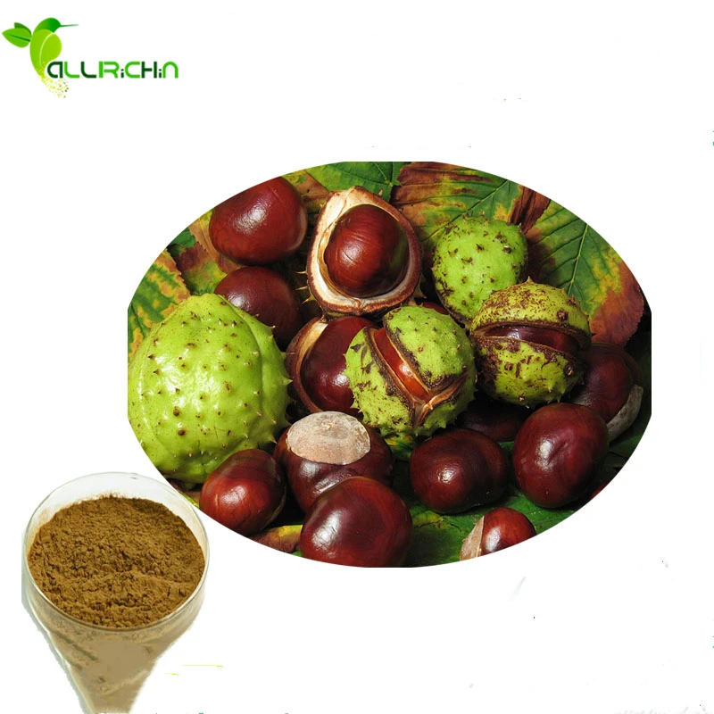 Wholesale horse chestnut, herbal extract horse chestnut extract