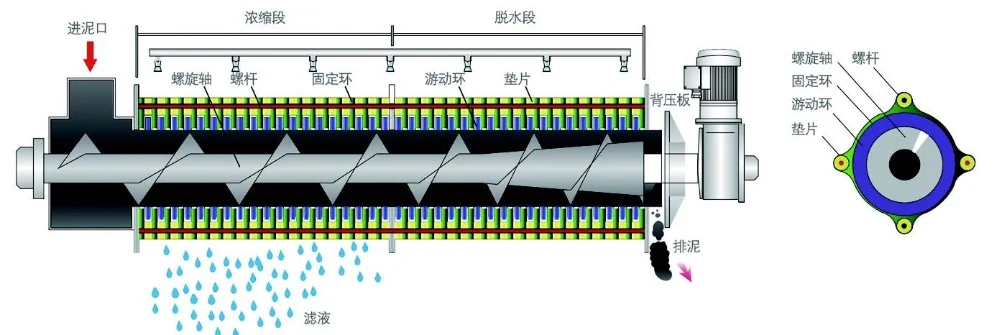 Shanghai Dazhang high quality Fold screw filter press and sludge dehydrator for wastewater treatment