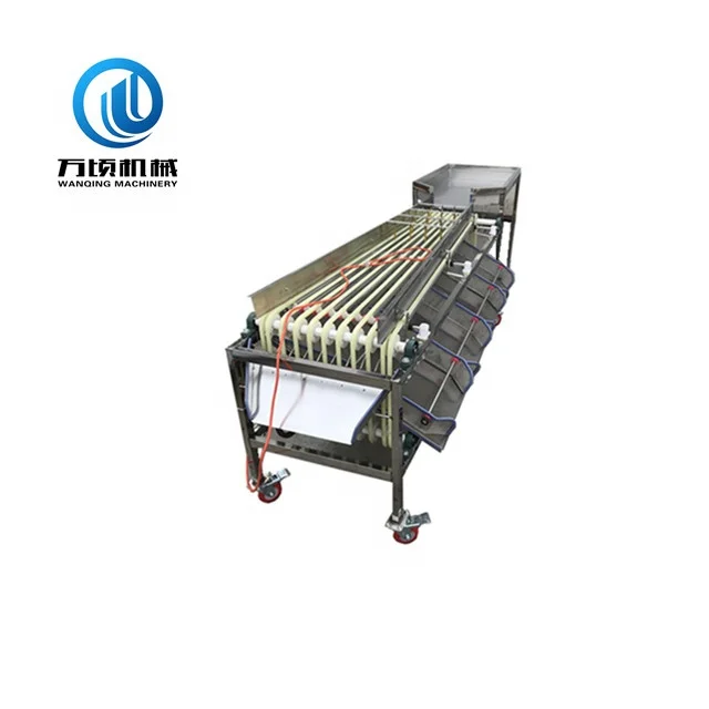 
Automatic dates sorting machine auto medjool date size grading equipment favorite price on sale 