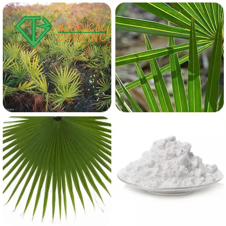  High Quality Saw Palmetto Extract Powder Palm Fatty Acid
