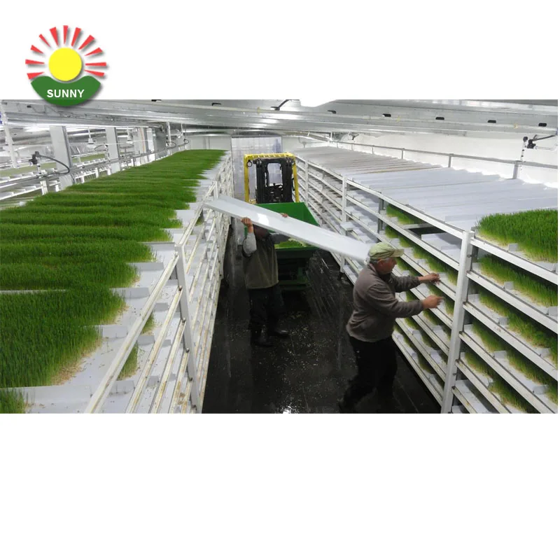 New arrival green fodder machine hydroponic fodder trays