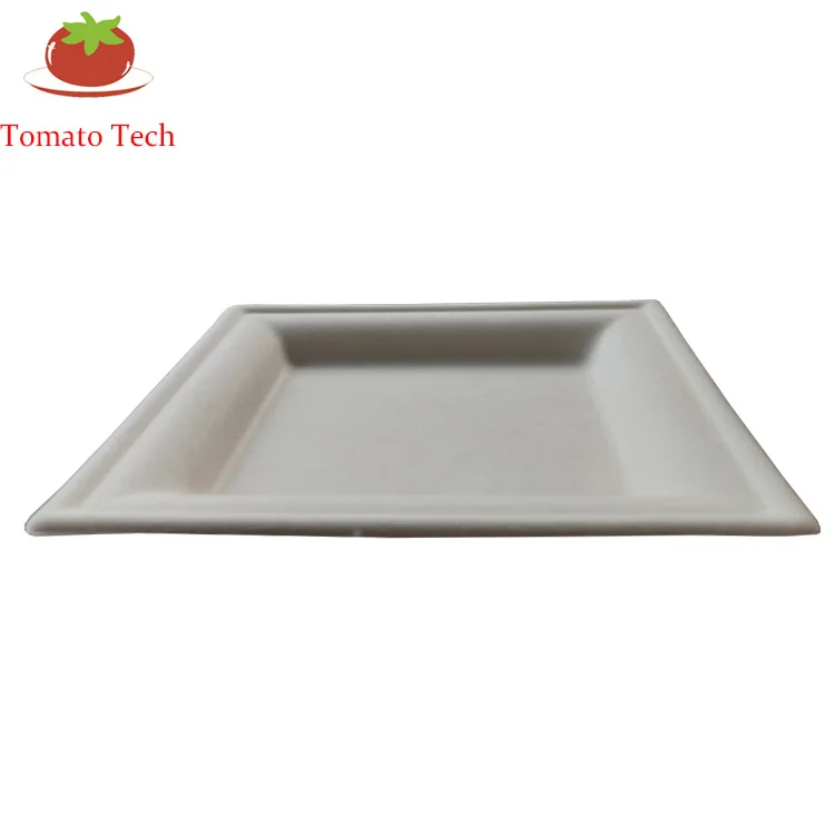 Compostable Biodegradable Sugarcane Dinnerware Bagasse Paper Pulp 10inch Square Plate