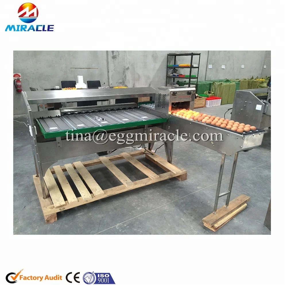 High quality egg grading machine, egg weight grader, egg grading by weight equipment