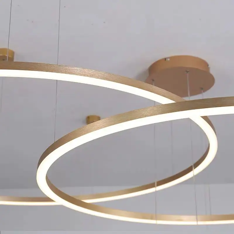 Round Fancy Circular Chandelier Decorative led ring pendant lamp Circle Led Pendant Light