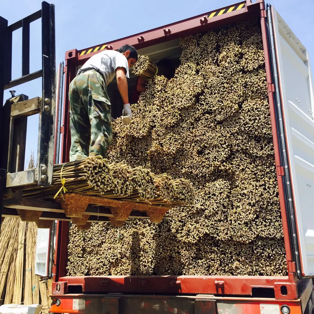 Good price bamboo poles for flower and tree planting with cheap price