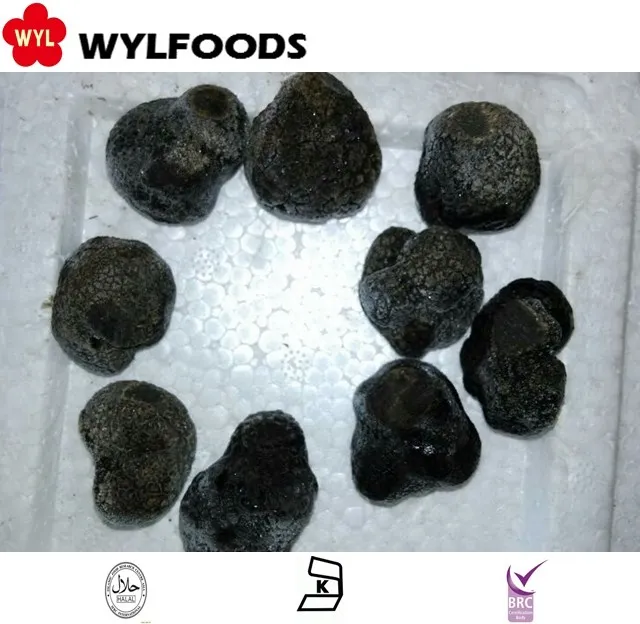 best qualiety IQF frozen summer truffle