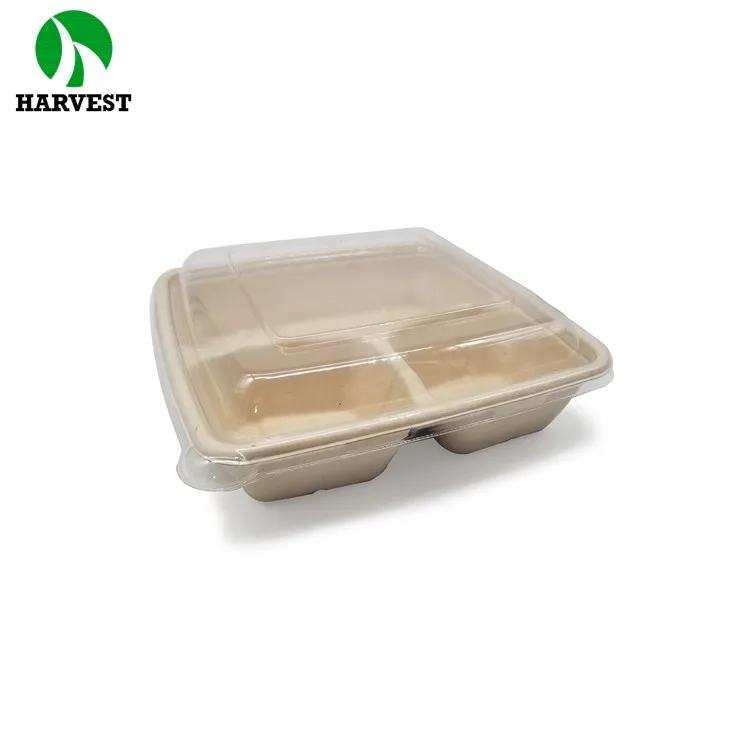 Bamboo Sugarcane Paper Square Biodegradable Compartment Plates
