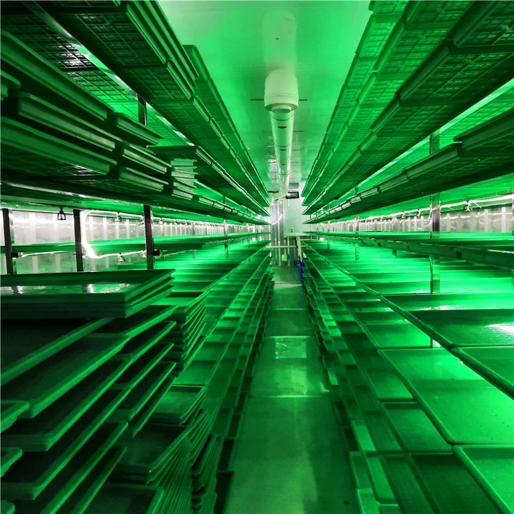 Factory Manufacture Shipping Container Hydroponic Farm | Hydroponic Grass Fodder Container