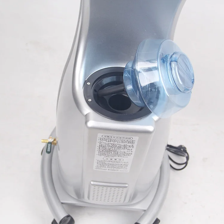 Factory Price Hairdresser Use O3 Hair Steamer