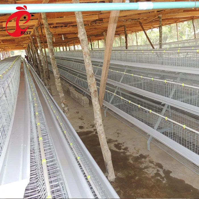 newly designed laying hens layer cage battery poultry cages for layers galvanized drinkers chicken nipple made in China
