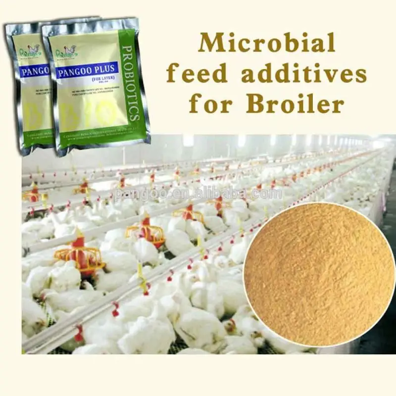 
POL-03 PANGOO , Probiotic feed for broiler 