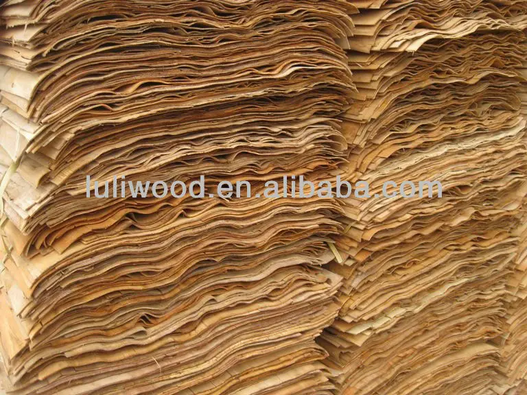 
ROTARY natural Wood Veneer/poplar/pine/okoume/eucalyptus/birch/bintangor Sheet for Plywood 