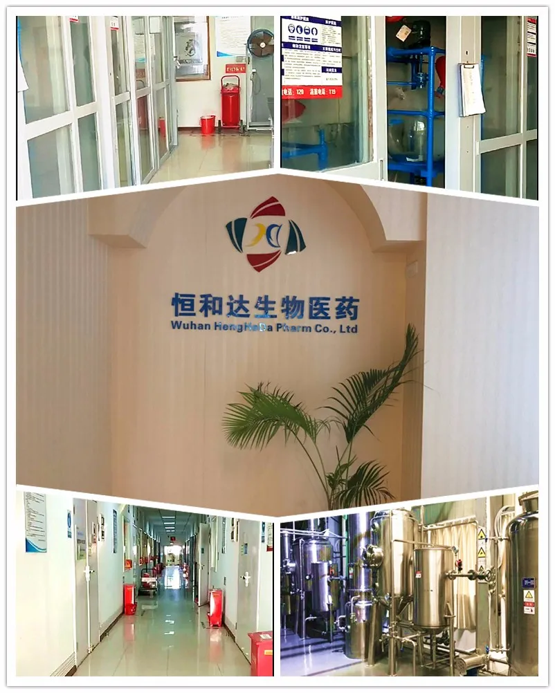 
Wuhan HHD Provide High Quality Sulfaguanidine 57-67-0 With Competitive Price Pharmaceutical Intermediate Tech Research 