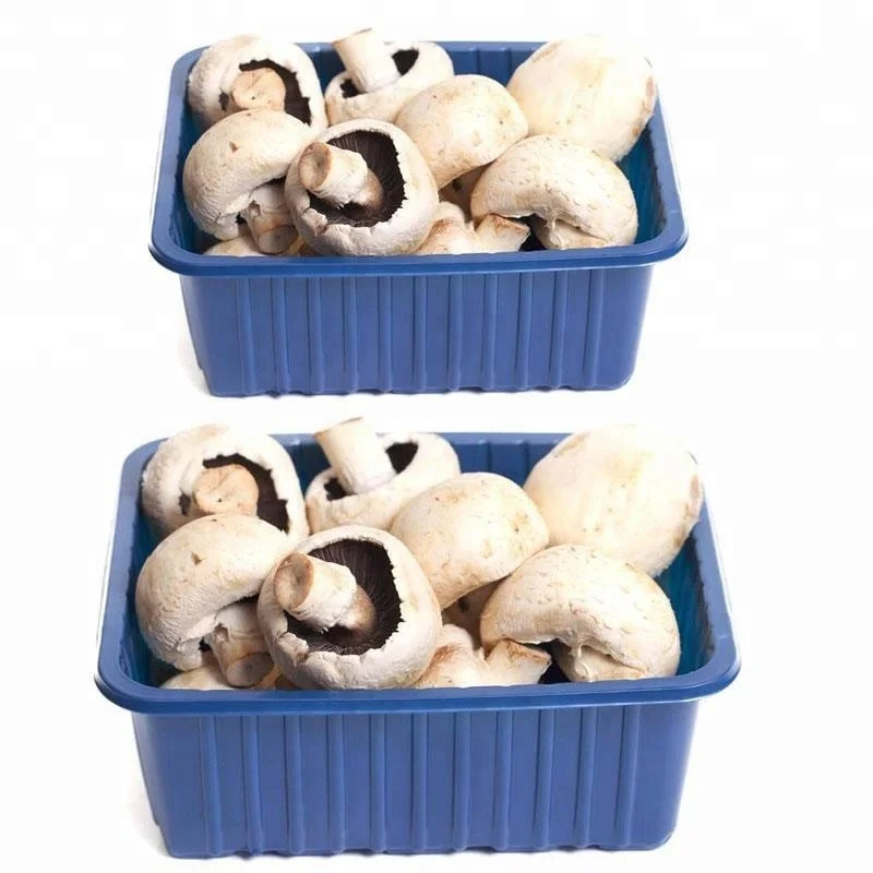 Vacuum Forming PP Plastic Fresh Vegetable Packaging Disposable foam supermarket frozen meat food trays packing