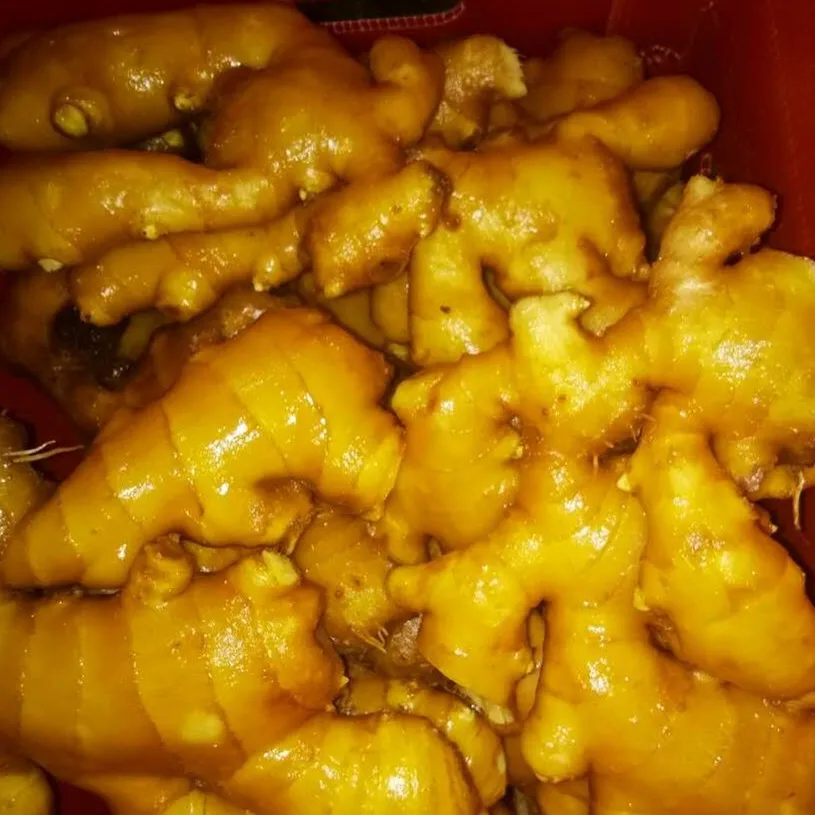
Fresh Ginger From China 