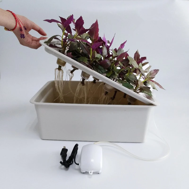 Plastic Planting Box For Home Hydroponic System