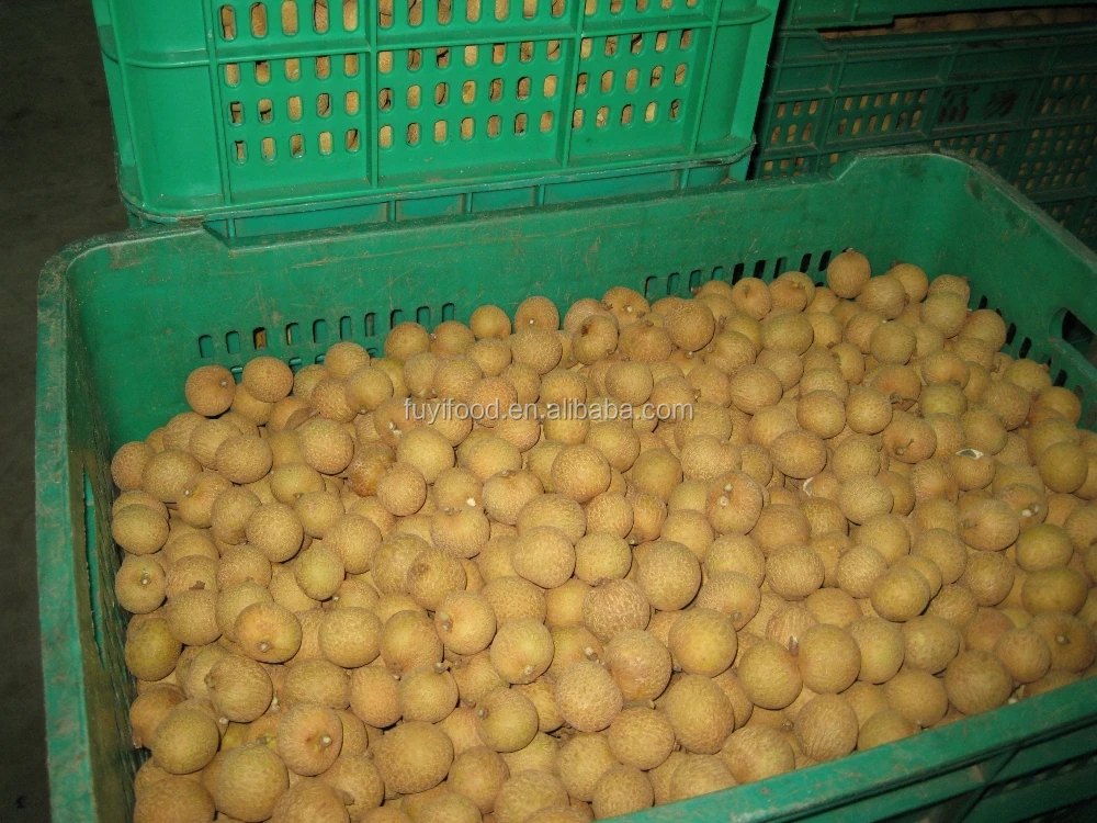 Orchard fresh longan
