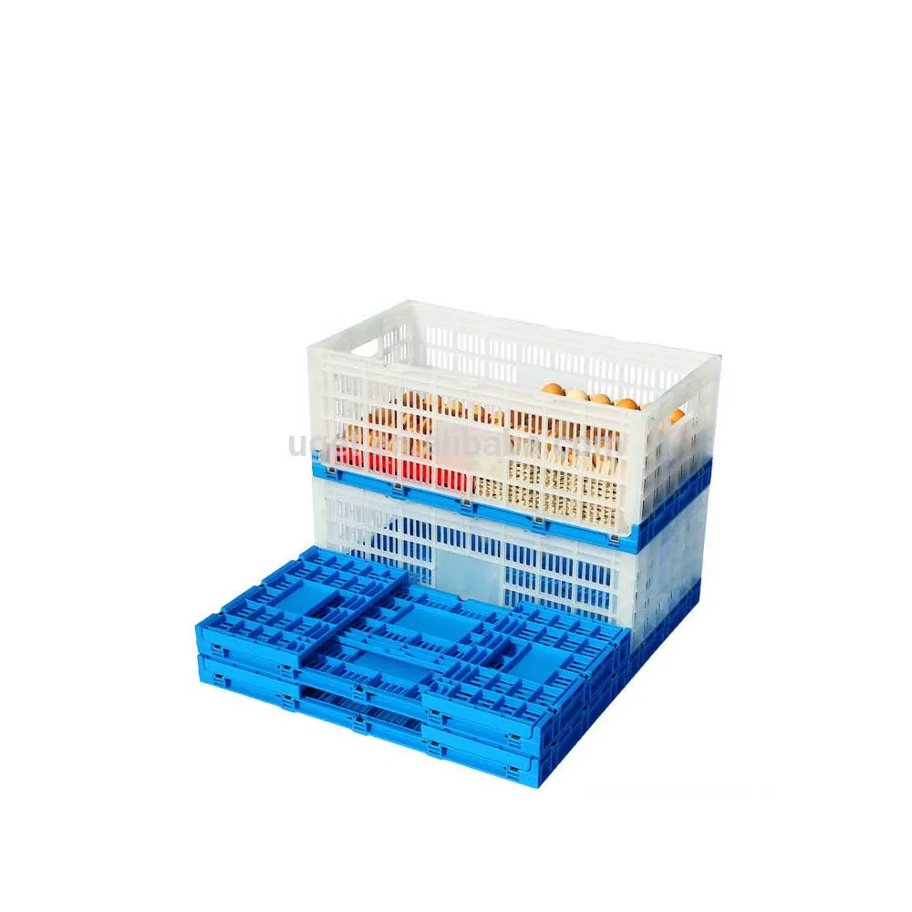 Top Quality Foldable Plastic Egg Crate For Wholesale