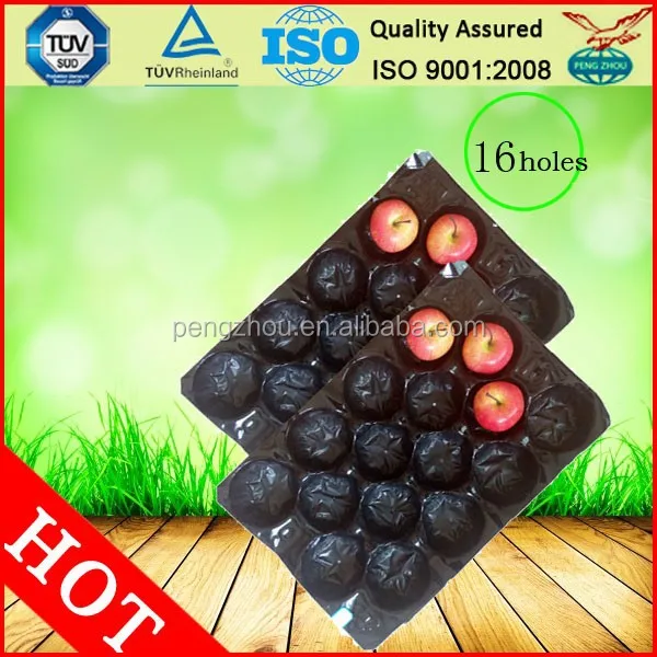 
Apple Tomato Pear Kiwi Plastic Tray For Fruit Packing 