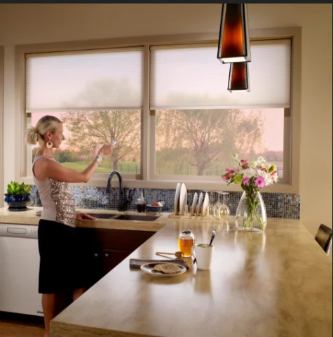 quality Quiet electric motors Roller Blind automatic curtain motor blinds