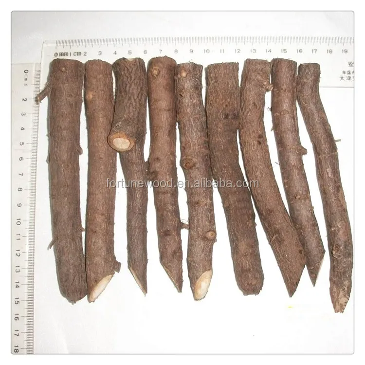 
 Семена павловнии, гибридные 9501 корневые заготовки для дерева  