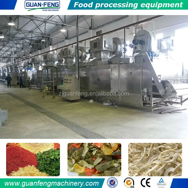 Vegetables and fruits dehydrator spring onion drying line