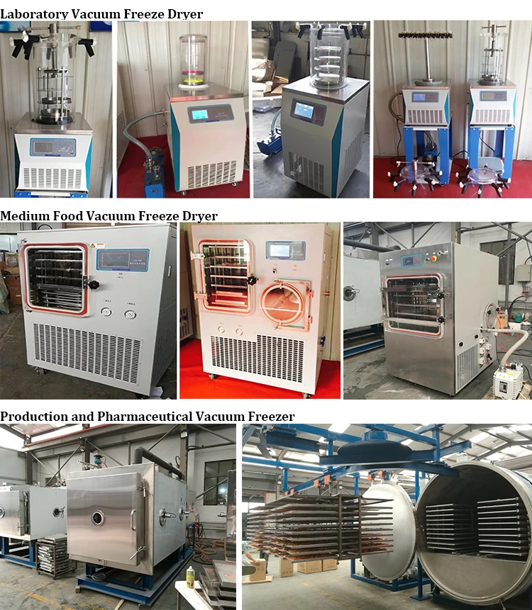 Portable Homemade Liofilizator Mini Lyophilizer Freeze Dryer Lyophilizer For Making Pet Food