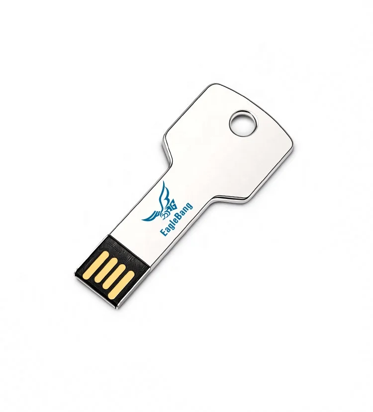 
Custom pendrive Key Shape Usb Usb flash drive 4gb 8gb 