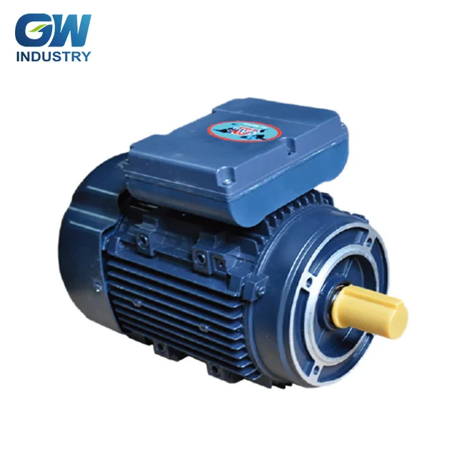 GW Manufacturers selling Capacitor Start Ac Washing Machine Motor