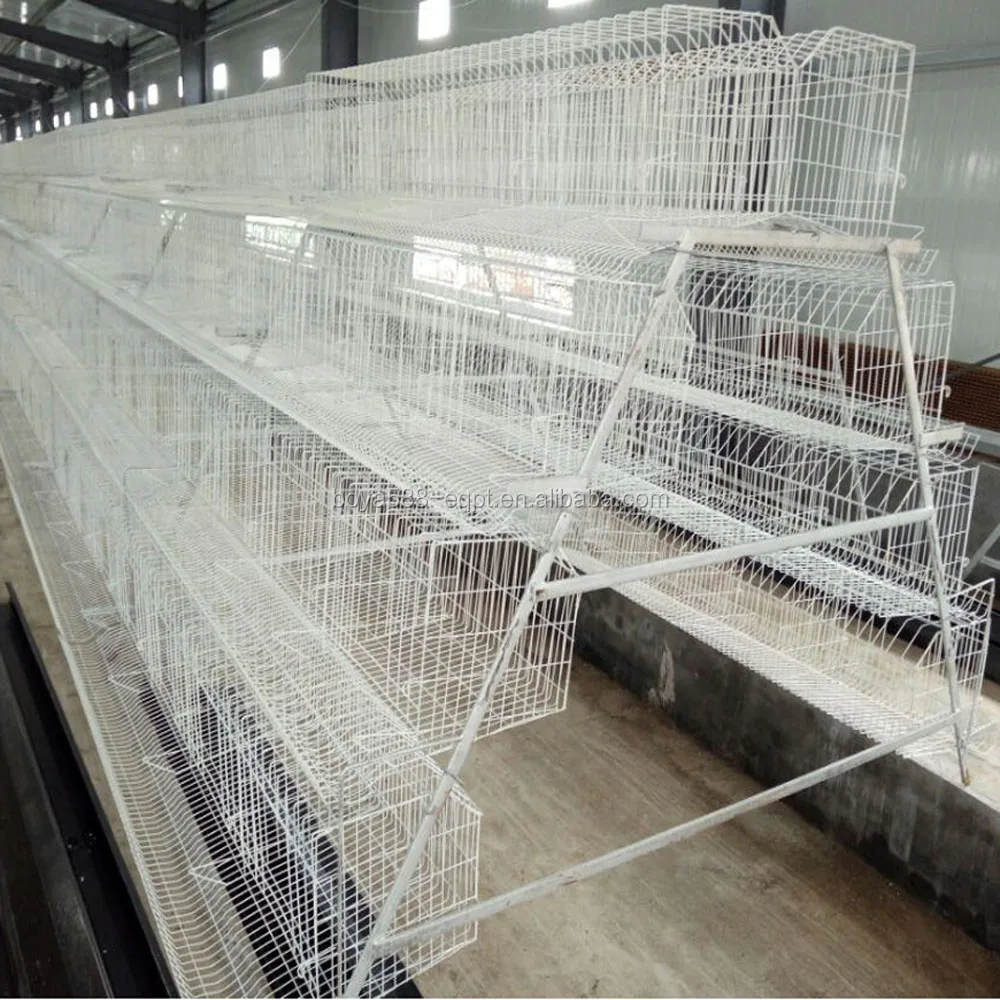 
Оборудование для птицеводства типа А, клетка для цыплят с автоматической системой для продажи 