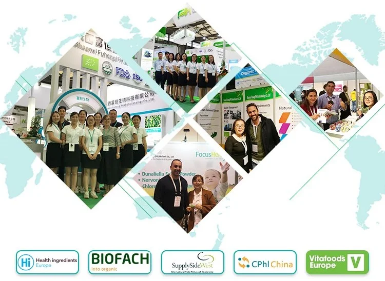 
100% Natural Pumpkin Powder 