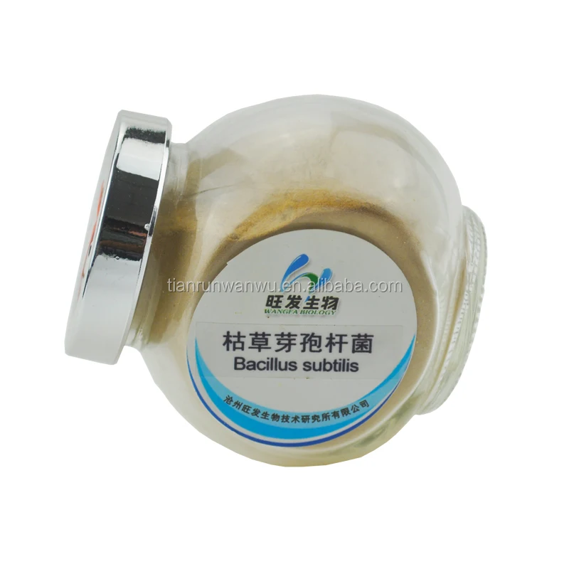 
Agricultural planting microbial inoculum Bacillus subtilis 