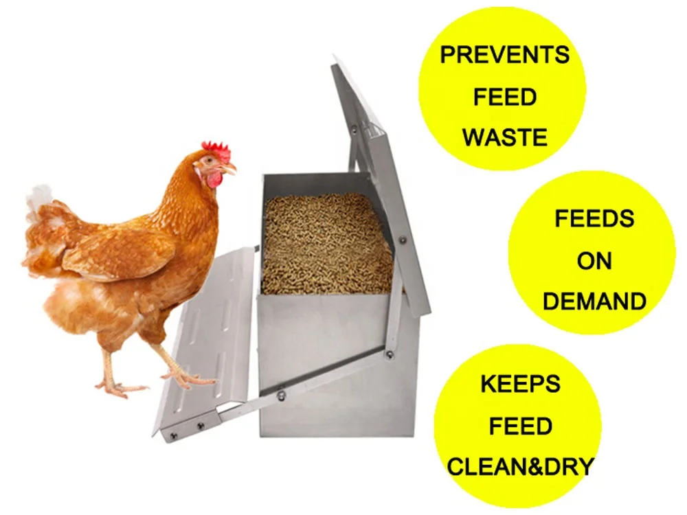 
Customized Chicken Drinkers And Feeders 