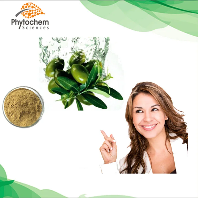 
High quality price nutrition supplement powder Olive Leaf Extract 40% Oleuropein by HPLC 