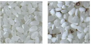 Intelligent CCD Mini Rice Color Sorter Machine With Cheap Price