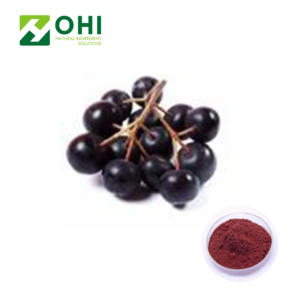 high quality Euterpe badiocarpa Natural acai berry Extract powder frozen acai berry