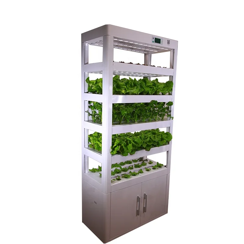 Dismountable Hydroponic Systems Grow Box for Indoor Vertical Garden Farming