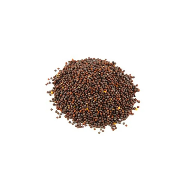 Organic Yellow Mustard Seed