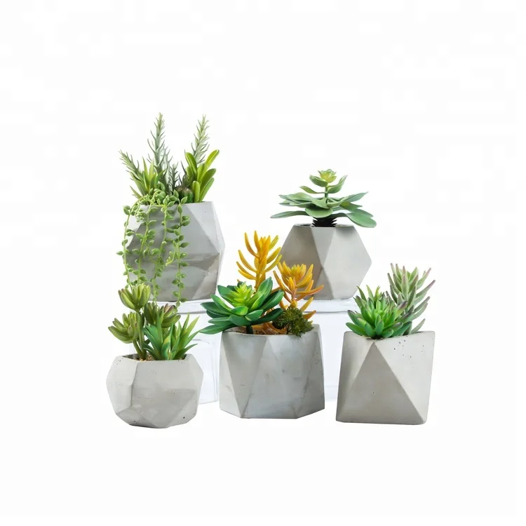 Wholesale succulent factory direct artificial succulent in bare cement flowerpot for decoration