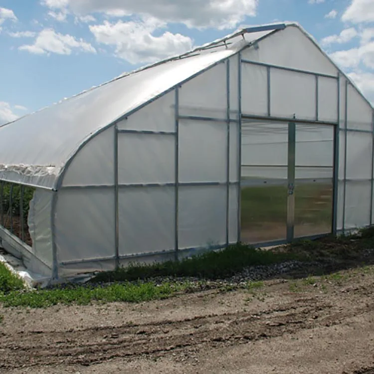 Plastic Film Greenhouse for Agriculture Multi-span Agricultural Greenhouses JY Good Price Plastic Hot Galvanized Steel Structure