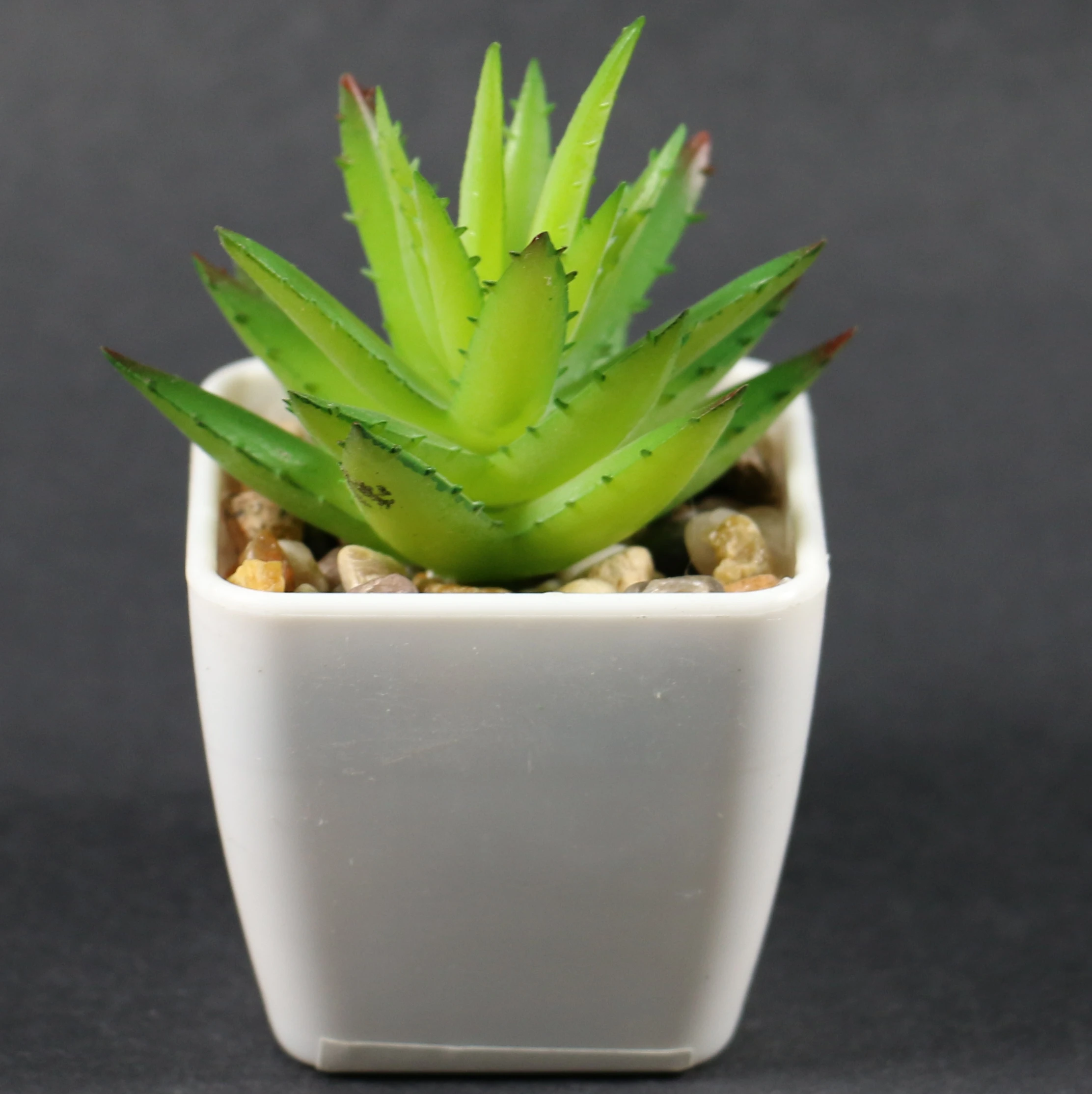 Factory mini plants plastic succulent artificial plants Wholesale home decoration