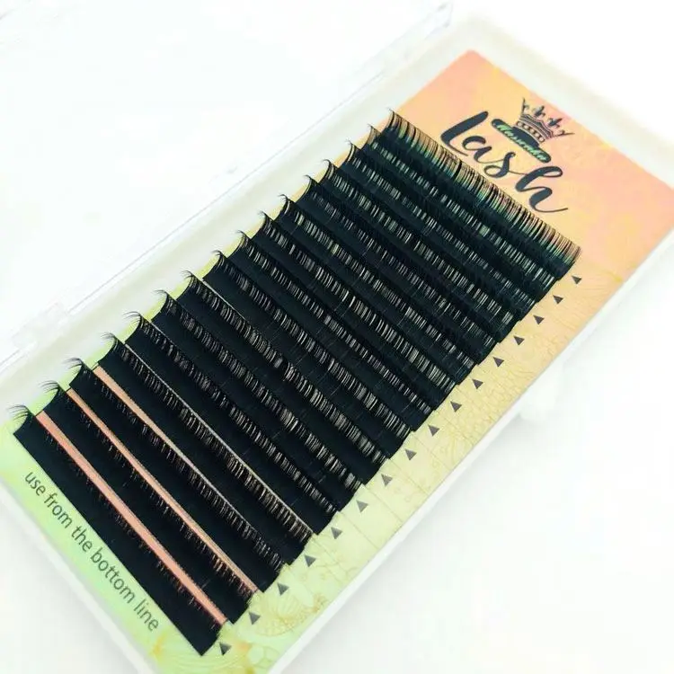 Dolly Lash Professional Eyalash Single Lashes Extension