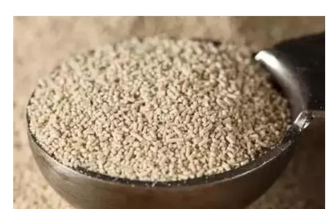 
factory supplier All types of dry yeast manufacturer 