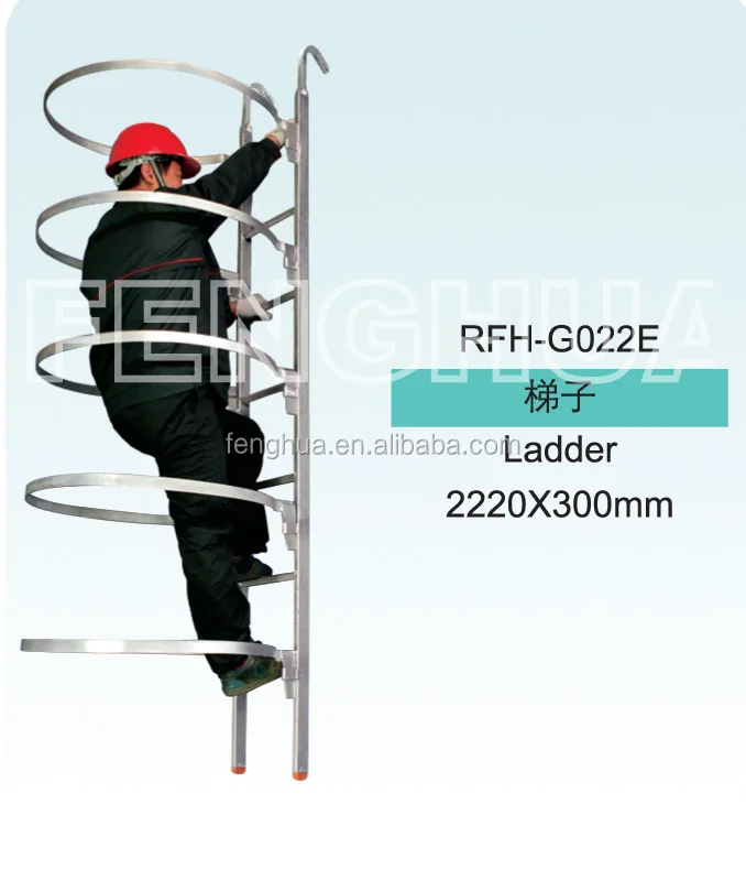 Scaffolding ladder
