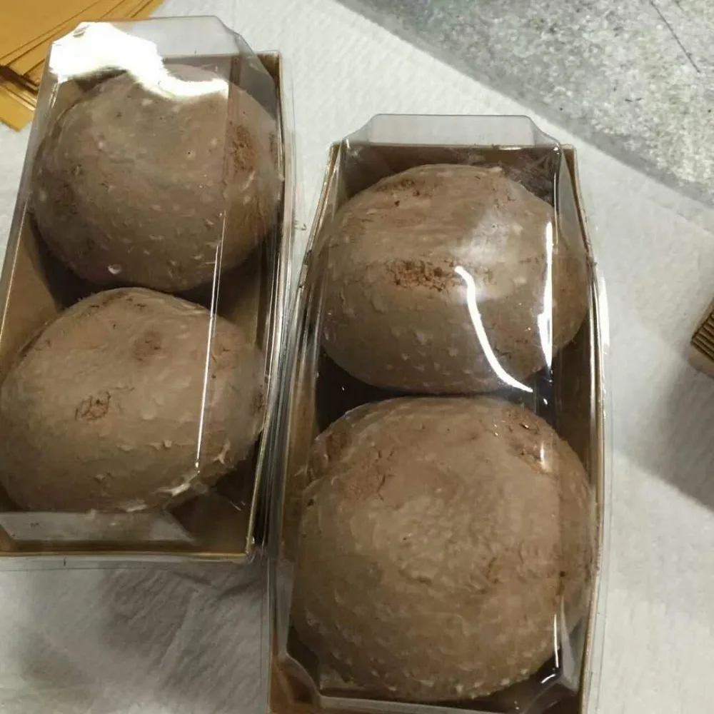 Detan Fresh Portobello Chinese Mushrooms