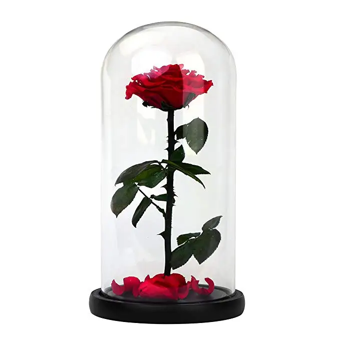 Wholesale eternal luxury roses real preserved flower roses in glass dome